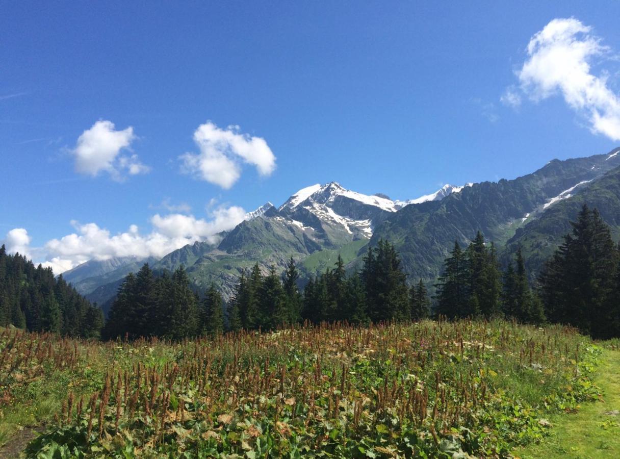 Bel Appartement Au Decor Montagnard - 80M2 Les Contamines-Montjoie Luaran gambar
